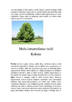 Prezentācija 'Latvijas meži un to problēmas', 18.