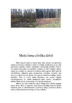 Prezentācija 'Latvijas meži un to problēmas', 30.