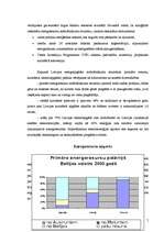 Referāts 'Baltijas valstu energoresursu apgāde', 7.
