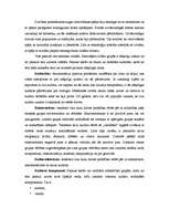 Konspekts 'Sociālās dzīves organizācija. Kultūra', 3.