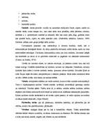 Konspekts 'Sociālās dzīves organizācija. Kultūra', 4.