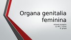 Prezentācija 'Sievietes uroģenitālā anatomija', 1.