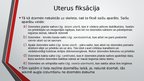 Prezentācija 'Sievietes uroģenitālā anatomija', 16.