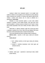 Referāts 'Darba līguma laušana pēc darbinieka iniciatīvas', 3.