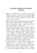 Referāts 'Atkritumu apsaimniekošana, to iespējamie risinājumi', 17.