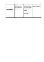 Eseja 'Laikraksta ziņu analīze', 4.