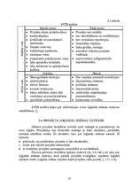 Referāts 'Bērnu attīstības centra atvēršana', 10.