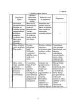 Referāts 'Bērnu attīstības centra atvēršana', 11.