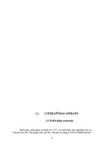 Referāts '"Saziņas kakla" sindroma ietekme uz augšējo ekstremitāšu muskuļu funkcionēšanu', 4.