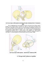 Referāts '"Saziņas kakla" sindroma ietekme uz augšējo ekstremitāšu muskuļu funkcionēšanu', 6.