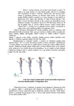 Referāts '"Saziņas kakla" sindroma ietekme uz augšējo ekstremitāšu muskuļu funkcionēšanu', 7.