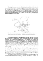 Referāts '"Saziņas kakla" sindroma ietekme uz augšējo ekstremitāšu muskuļu funkcionēšanu', 12.