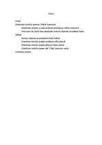 Konspekts 'Sabiedrisko attiecību pieredze Vidējos Austrumos', 2.