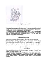 Referāts 'Dzīvnieka elpošanas sistēmas rezistence', 5.