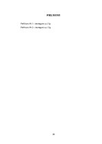 Prakses atskaite 'Civiltiesības', 20.