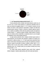 Diplomdarbs 'Laboratoriju un diagnostikas iekārtu farmaceitiskā vairumtirgotāja SIA "X" krāju', 24.