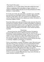 Referāts 'Dienvidamerika', 2.