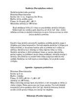 Referāts 'Dienvidamerika', 3.