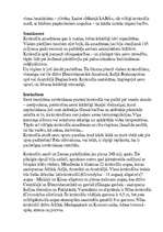 Referāts 'Dienvidamerika', 7.