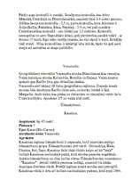 Referāts 'Dienvidamerika', 8.