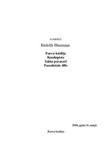 Konspekts 'R.Blaumaņa darbi "Purva bridējs", "Raudupiete", "Salna pavasarī", "Pazudušais dē', 1.