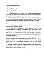 Diplomdarbs 'Sociālo palīdzību ietekmējošie faktori Indras pagastā', 26.