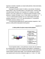 Diplomdarbs 'Sociālo palīdzību ietekmējošie faktori Indras pagastā', 55.