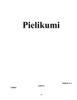 Diplomdarbs 'Sociālo palīdzību ietekmējošie faktori Indras pagastā', 74.