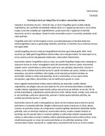 Eseja 'Fotogrāfijas izmantošana komerciālos nolūkos', 1.