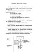 Referāts 'Zīmēšana pirmsskolas vecumā', 1.