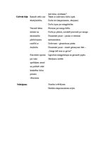 Konspekts 'Integrēta mācību stunda 2.klasei ar dabaszinību dominanti', 3.