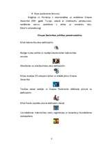 Referāts 'Eiropas Savienība: ieguvumi gadu pēc iestāšanās', 4.