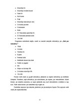 Referāts 'Datu bāze "Suņu reģistrācija"', 18.