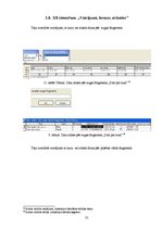 Referāts 'Datu bāze "Suņu reģistrācija"', 31.