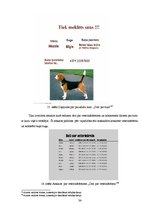 Referāts 'Datu bāze "Suņu reģistrācija"', 34.