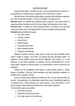 Referāts 'Datu bāze "Suņu reģistrācija"', 36.