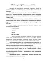 Referāts 'Veikalu tīkla "Maxima" reklāmas ietekme uz patērētāju produktu izvēli', 11.