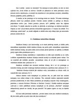 Referāts 'Veikalu tīkla "Maxima" reklāmas ietekme uz patērētāju produktu izvēli', 12.