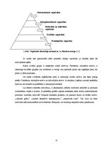 Referāts 'Veikalu tīkla "Maxima" reklāmas ietekme uz patērētāju produktu izvēli', 16.