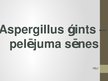 Prezentācija 'Aspergillus ģints - pelējuma sēnes', 1.