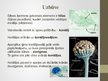 Prezentācija 'Aspergillus ģints - pelējuma sēnes', 4.
