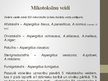 Prezentācija 'Aspergillus ģints - pelējuma sēnes', 10.
