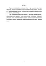 Referāts 'Uzņēmuma "X tūrisma aģentūra" saimnieciskās darbības analīze', 3.