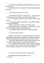 Referāts 'Uzņēmuma "X tūrisma aģentūra" saimnieciskās darbības analīze', 7.