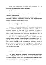 Referāts 'Uzņēmuma "X tūrisma aģentūra" saimnieciskās darbības analīze', 11.