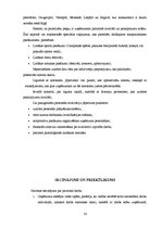 Referāts 'Uzņēmuma "X tūrisma aģentūra" saimnieciskās darbības analīze', 14.