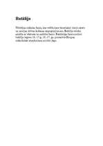 Konspekts 'Tēlotājmākslas žanri', 3.