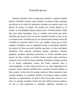 Eseja 'Vardarbība ģimenēs', 1.