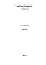 Referāts 'Laulības', 1.