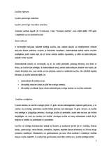 Referāts 'Laulības', 5.